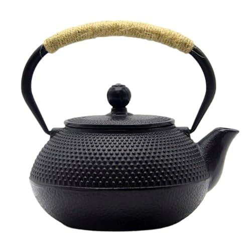 SECHUDO Tetsubin Cast Iron Teapot, 27.1 oz