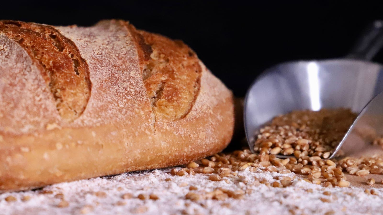 A round sourdough loaf baked in a cast iron dutch oven