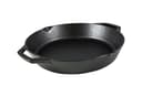 Lodge Seasoned Cast Iron Skillet (10.25")